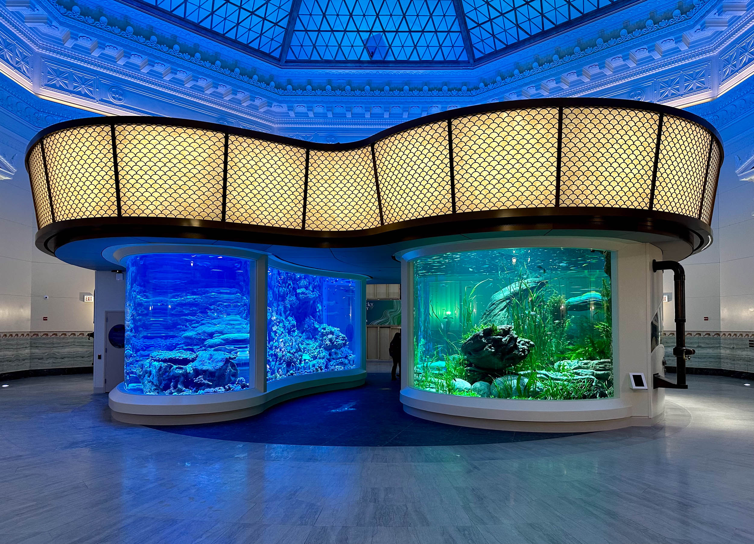 Shedd Aquarium Experience Evolution
